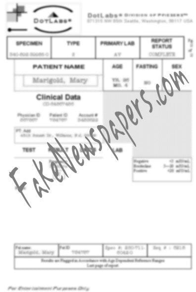 Personalized Fake Pregnancy Document And Paper 9338