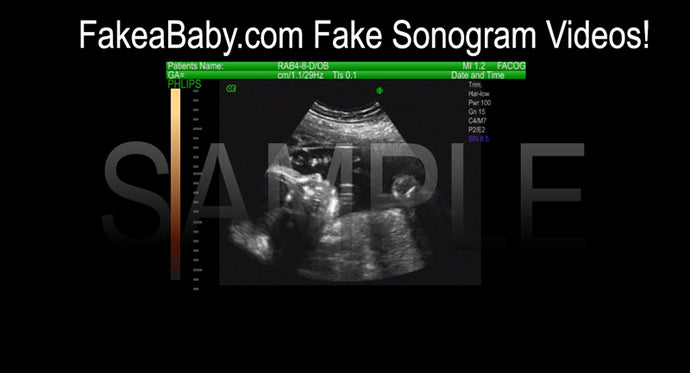 Want a Fake Sonogram Video?