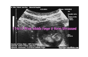 Fake Ultrasound with Horns & Middle Finger